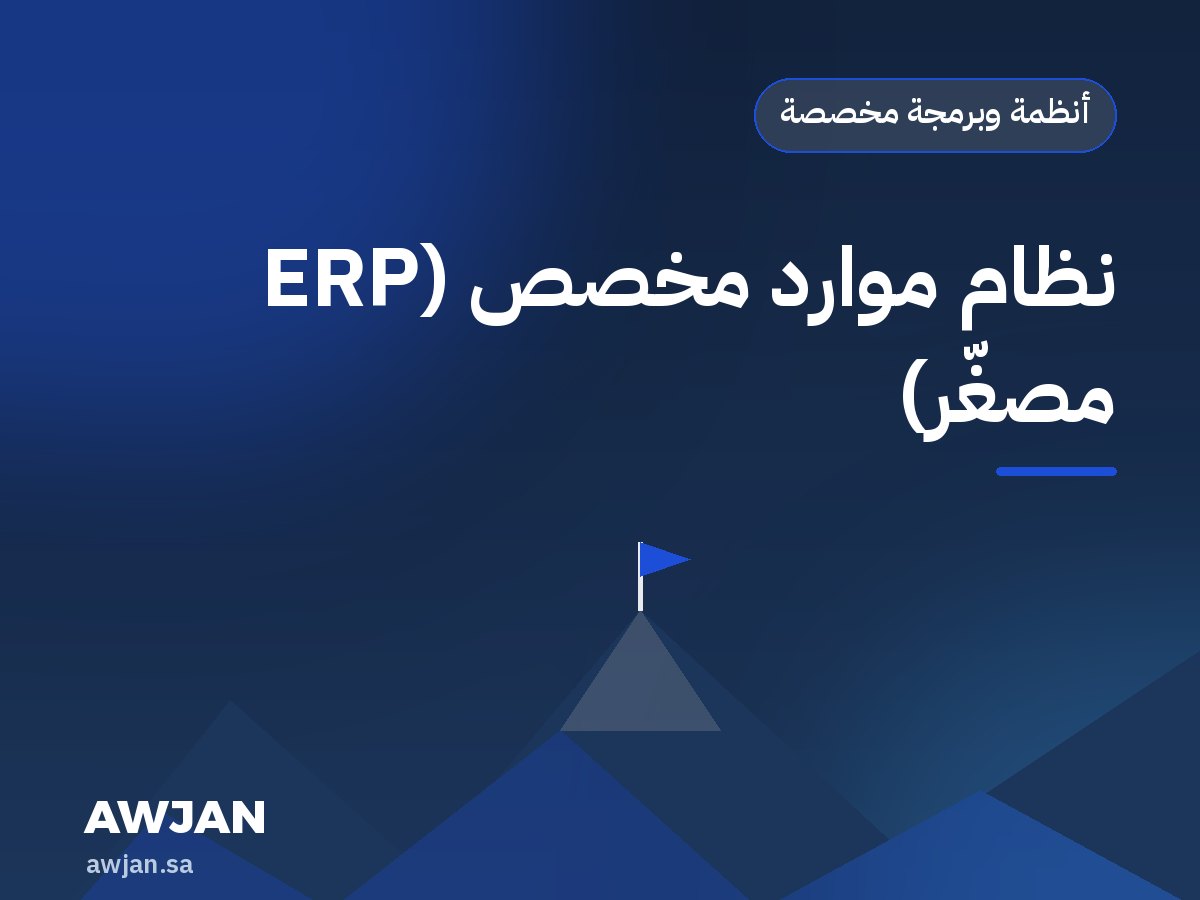 Custom mini ERP