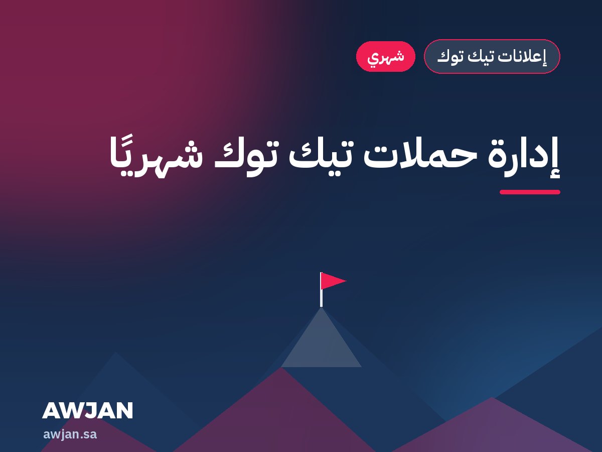 إدارة حملات تيك توك شهريًا